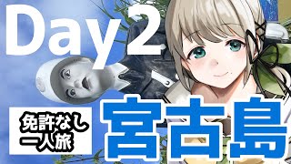 🌺 #宮古島 免許なし一人旅！Day2ですわ～！　#Vtuber #旅行 #ダイビング #沖縄 #サイクリング #マンゴー