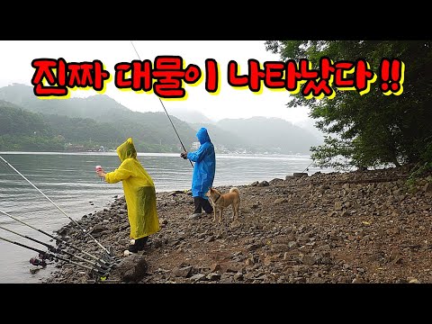 장마가 시작되면 전설의 대물이 움직인다 !!!
