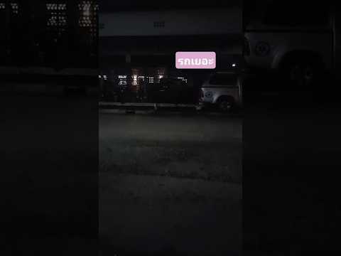 แมว "หน้าซีกกั๊บ" รอข้ามถนน 🚗 /Cat Wants to Cross… #cat #แมว #CatShorts