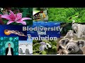 Biodiversity and Ecosystem Dynamics
