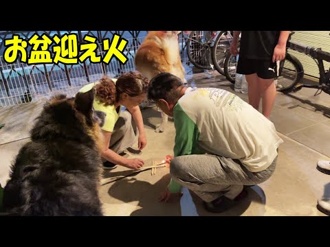 お盆です迎え火で歴代ワンコお帰りなさい。