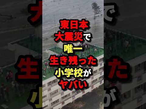㊗️25万回再生‼︎【つよすぎる‼】東日本大震災で唯一生き残った小学校がヤバい‼︎