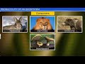 Ecosystem Dynamics and Succession Concepts
