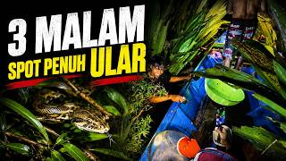 PERTAMA KALI DI DUNIA! Menombak Ikan dengan DJI Pocket 4 Pro