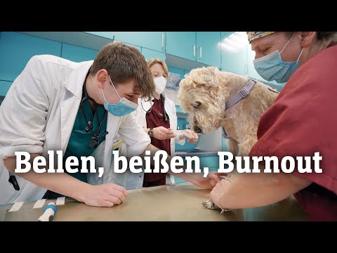 Tierärzte unter Druck: Bellen, beißen, Burnout (SPIEGEL TV für ARTE Re:)