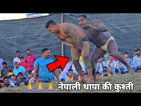 नेपाली थापा ने तोड़ दिया टोचन new kusti video thapa pehlwan 2024