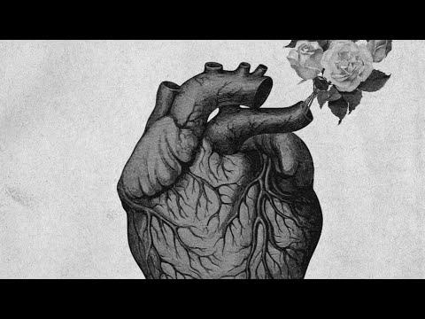 BlackHeart - ฟีโรโมน Ft.2TFLOW (Lyrics Video) [5/5]