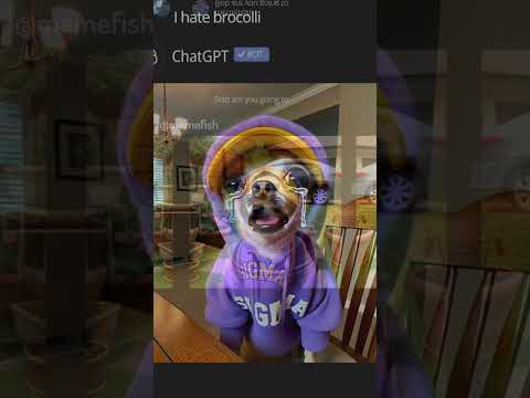Chihuahua stays with Uncle Bob #memes #chatgpt #ai