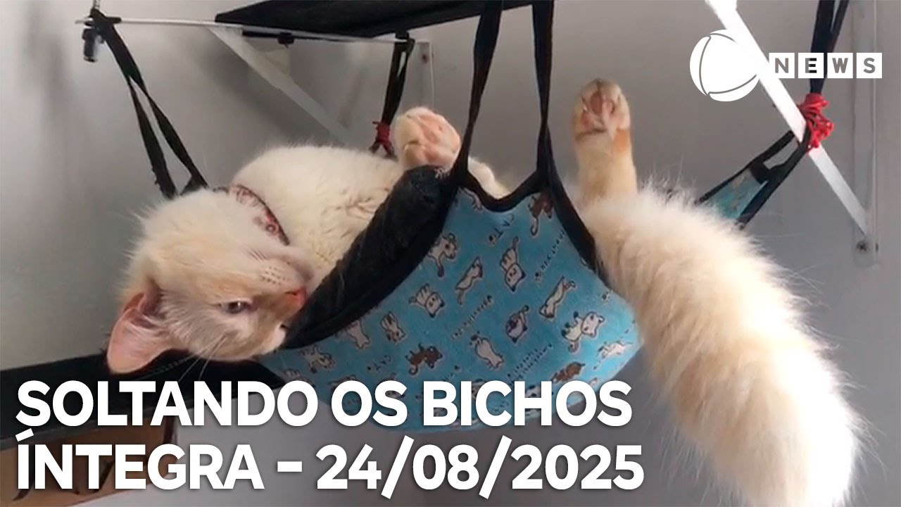 Soltando os Bichos – 24/08/2025