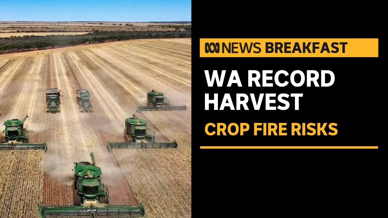 Summer blazes threaten Millions in Lost Harvest