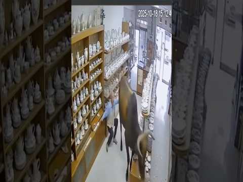 Bull in a China Shop… Literally 🐂💥🍽️