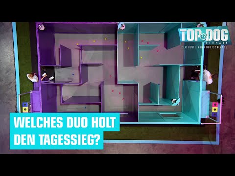 Mia & Frieda VS. Tim & Yara 🤝 | Top Dog Germany 2024