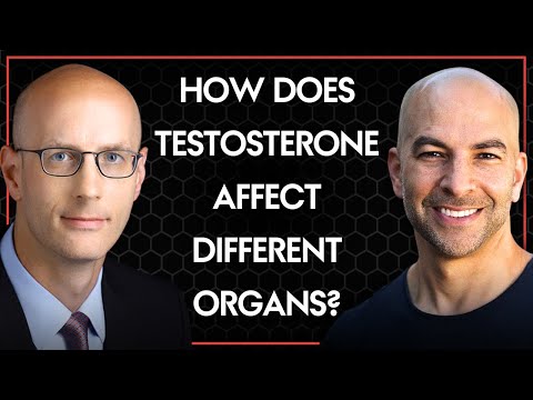 How high and low testosterone affect organs differently | Peter Attia & Ted Schaeffer