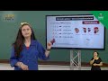 Genes Complementares e Interação Gênica