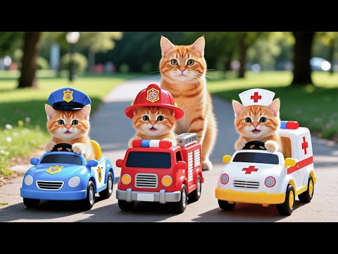 Mama Cat Trims Fur on the Farm and Makes Tiger Hat For Kittens At Home🐾🎩🐯