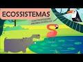 Elementos e Interações em Ecossistemas