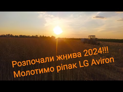 Розпочали жнива 2024!! Молотимо озимий ріпак