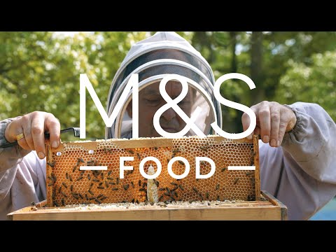 marksandspencer.com & Marks and Spencer Discount Code video: Select Farms British Honey | Episode 1 | Fresh Market Update | M&S FOOD