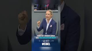 Reden wir endlich vom Frieden anstatt vom Krieg.#AliceWeidel #Bundestag #Politik #afd #Frieden