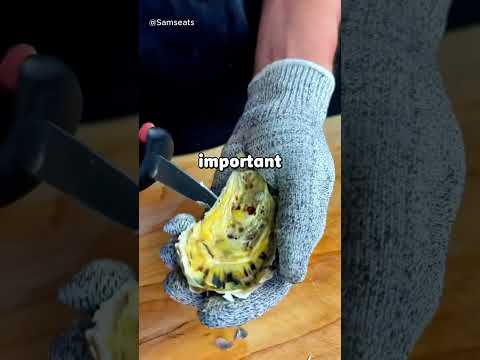 Mon petit ami a dit, "Les femmes modernes ont gâché les relations, alors je lui ai donné la ...