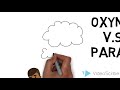 Paradoxes and Oxymorons Explained