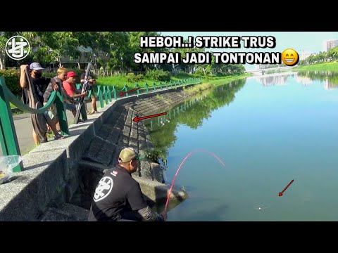 Heboh..! Bikin heran pemancing lain saat dapat ikan besar di pinggiran