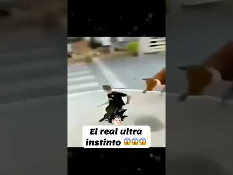 Goku ultra instinto en la vida real #shorts #viralshorts #dragonballz #goku