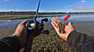 Fishing SMALL Jigs for BIG BASS! (Fall Fishing)