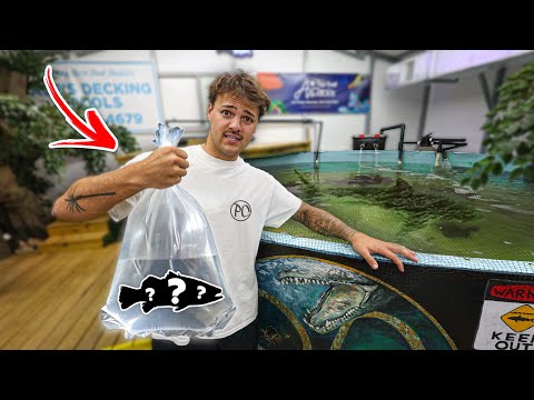 I Found THESE SPECIES for My POND!! (crazy) Thanks to BRUNT for sponsoring this video! Get $10 off your first purchase at https_//brunt.yt.link/