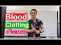 Hemostasis and Coagulation Processes