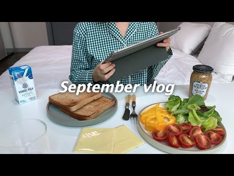 sub) 4학년의 대학 생활ㅣ점심먹고 강의듣기ㅣ야채 샌드위치, 애호박 두부 덮밥