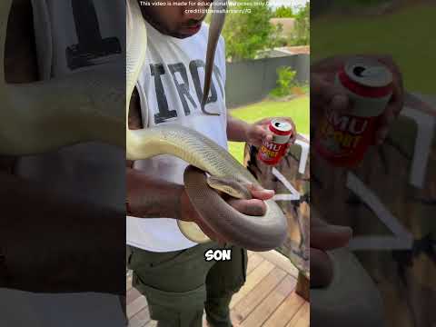 C'est un poison pour les serpents