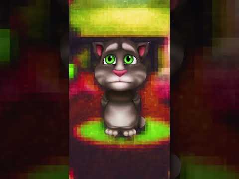 NUNCA LE PREGUNTES A TALKING ANGELA DONDE ESTA TOM