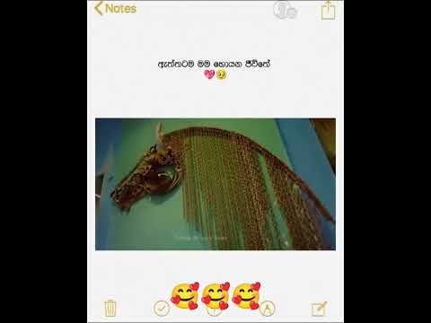 #film #subscribe #love