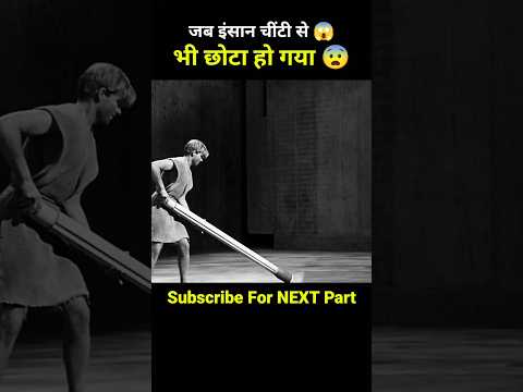 एक मकड़ी, एक चीज़ और एक इंसान जो अब माचिस के बराबर है 😨 #shortvideo