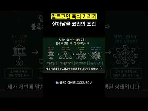 알트코인 옥석 가리기 살아남을 코인의 조건
