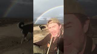 Rainbow Sleep Story