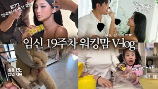 임신 19주 차 입덧 지옥 중..(살려주세요🥕) 브론저 개발 젠더리빌 독박 육아ㅠㅠ 제품생산 사고...  하지만 나는 젤라니까 다 해내!!!