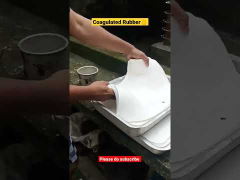 Coagulated Liquid Rubber 🌳💥உறைதல்