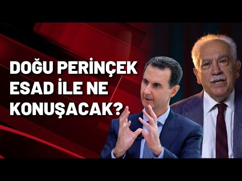 DOĞU PERİNÇEK ESAD İLE NE KONUŞACAK?