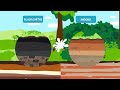 Soil Science Concepts and Applications