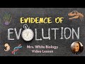 Exploring Evidence Supporting the Theory of Evolution