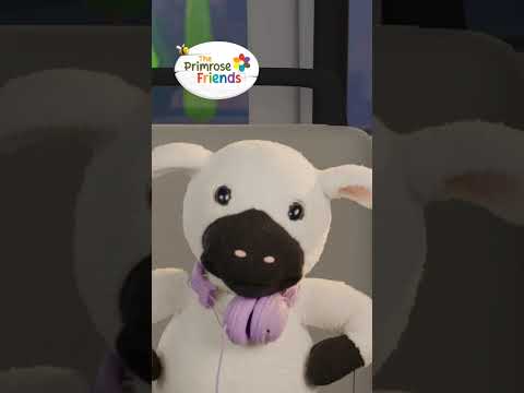 Counting Ducks on the Bus 🦆🚌 #kids #songs