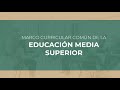 Transformación de la Educación Media Superior en México