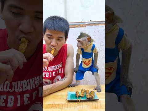 What's wrong with this delicious barbecue?🍖🍖 smart monkey🐒 #monkey #videoviral  #shorts