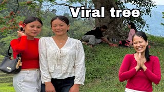 In khandbari ❤️ viral tree 🌳 