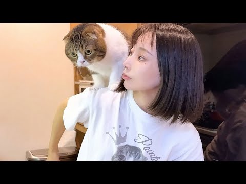 ママのことが大好きすぎて家事中だろうとついつい背中にくっついてしまうかまちょな猫!