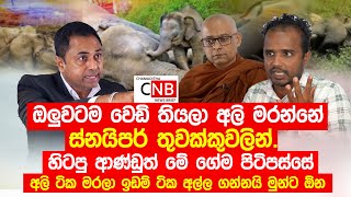 ඔලුවටම වෙඩි තියලා අලි මරන්නේ ස්නයිපර් තුවක්කුවලින්.හිටපු ආණ්ඩුත් මේ ගේම පිටිපස්සේ.
