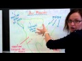Climate and Air Masses Concepts