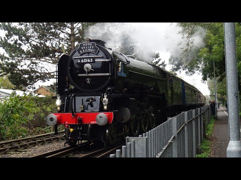 60163 Tornado Back in Action on the Nene Valley Railway! 26th October 2024